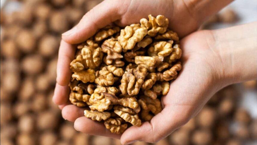 Best Time To Eat Walnuts