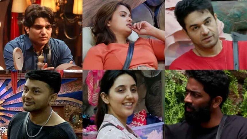 Bigg Boss 19 Elimination