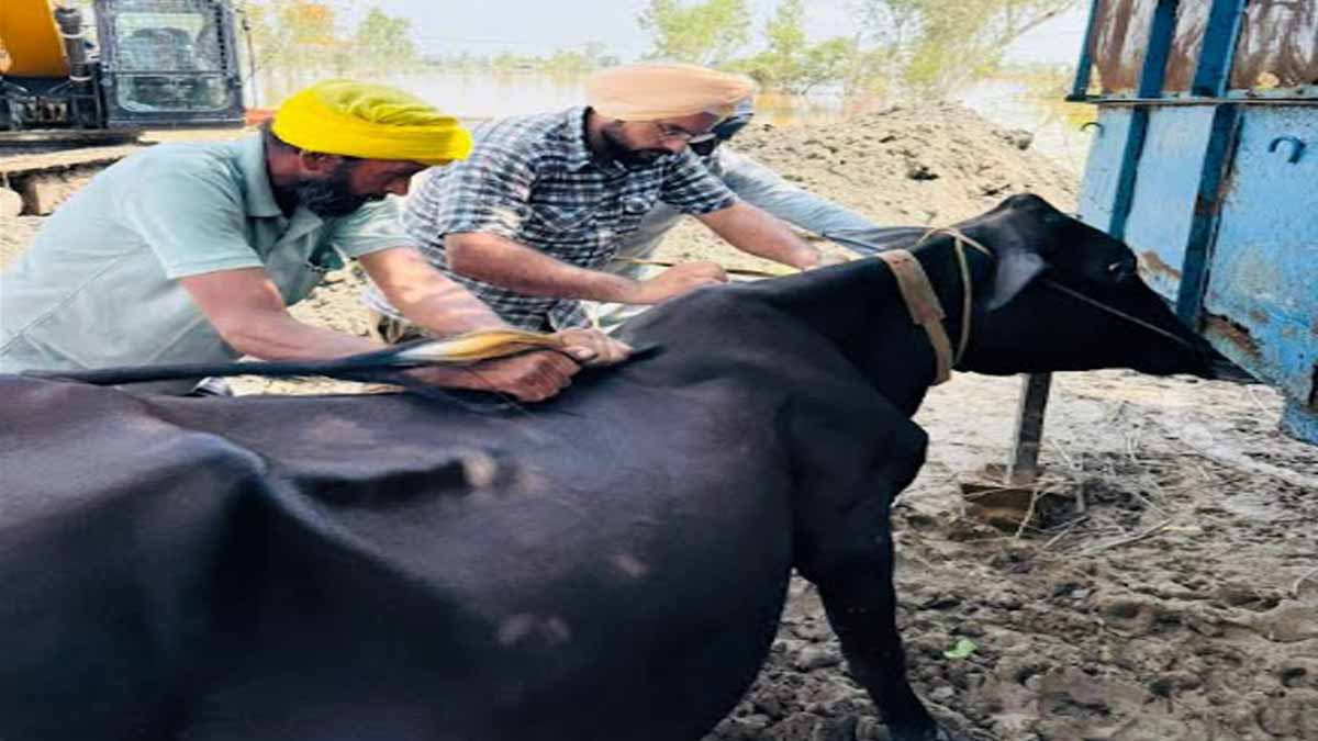 Protecting the agricultural economy is a top priority- Gurmeet Singh Khuddian