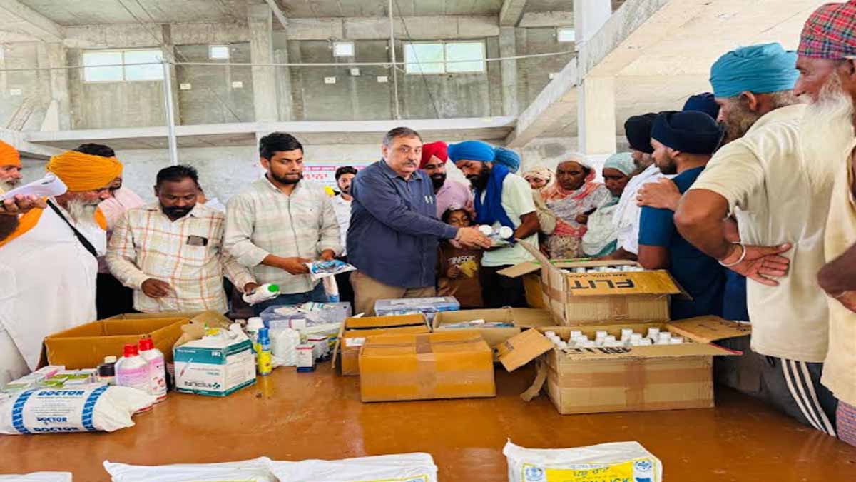 Punjab Flood: कृषि अर्थव्यवस्था की सुरक्षा प्रमुख प्राथमिकता, 1.75 लाख से अधिक पशुओं को लगाए टीके