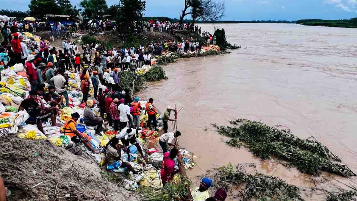 पंजाब में भारी बारिश के मद्देनज़र सरकार द्वारा बचाव कार्यों में तेज़ी