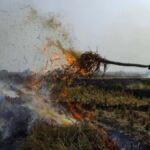 Stubble Burning