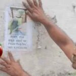 Parrot Kittu Goes Missing In Meerut