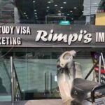 Rimpis Immigration Jalandhar
