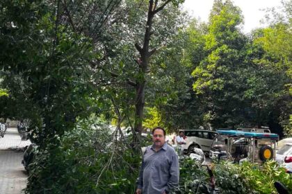 सरकारी भूमि पर पेड़ों की अवैध कटाई, पीएनबी शाखा प्रबंधक के खिलाफ FIR की मांग