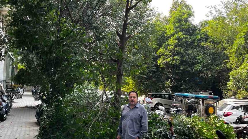 सरकारी भूमि पर पेड़ों की अवैध कटाई, पीएनबी शाखा प्रबंधक के खिलाफ FIR की मांग