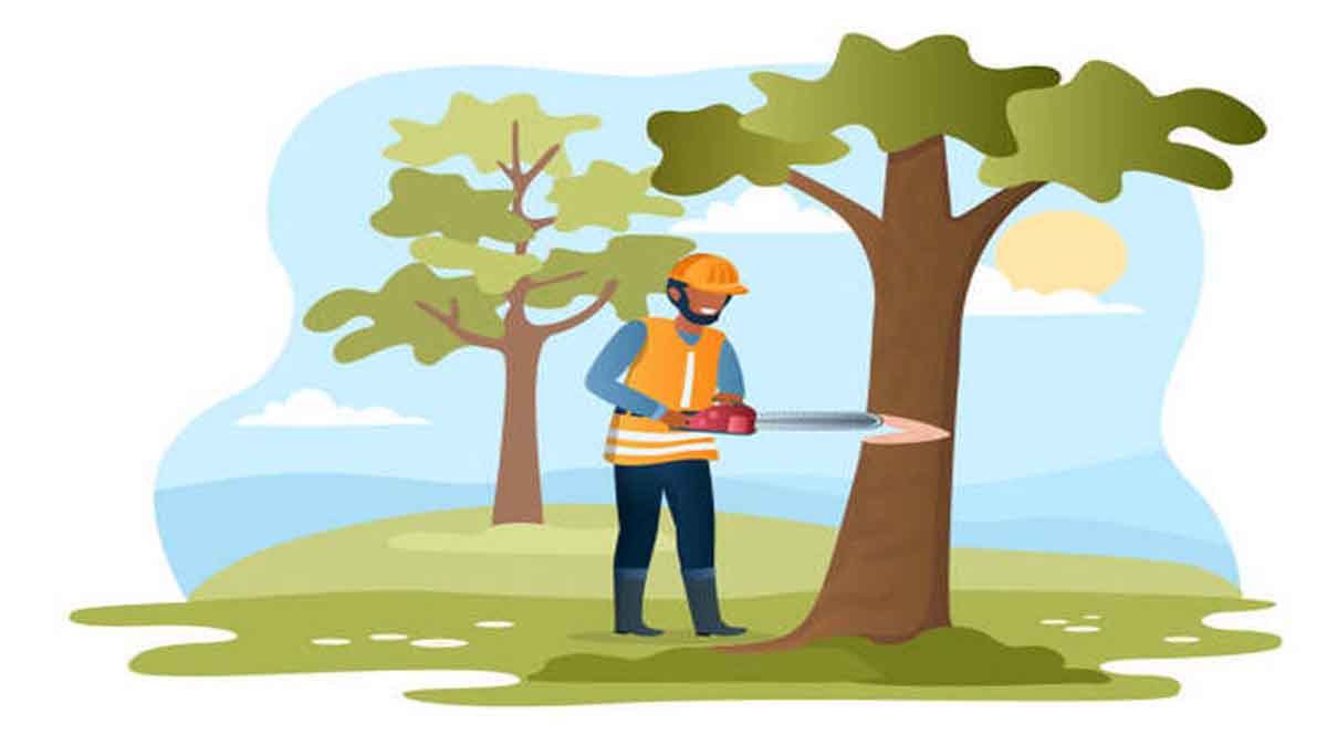 Tree Cutting
