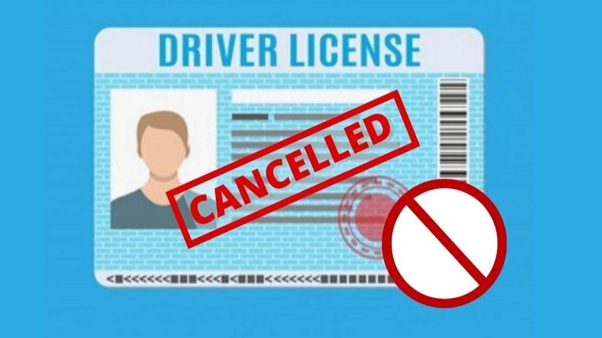 Canada Driver Licence