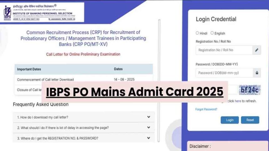 ibps po mains 2025 admit card