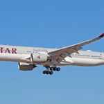 Qatar Airways Vegetarian Passenger