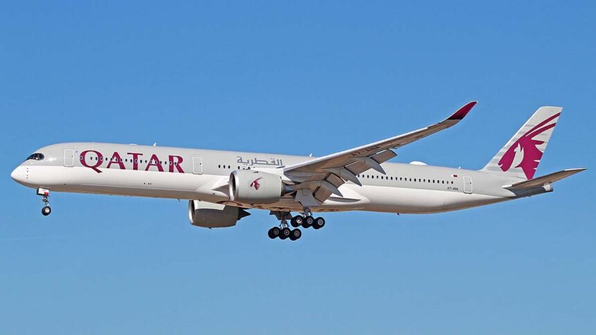 Qatar Airways Vegetarian Passenger