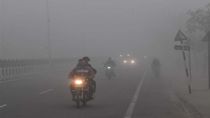 Punjab Weather Update