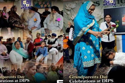 Dips celebrates the affection of grandparents