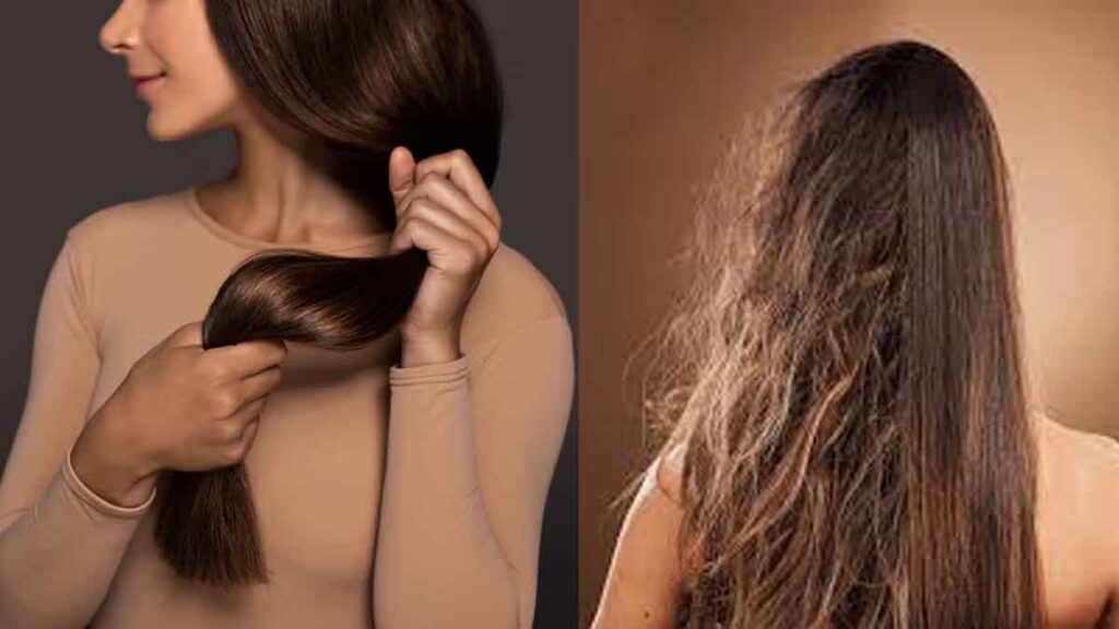 Hair Care: कितना जरुरी है हेयर ऑयलिंग? बालों में तेल लगाने से मिलते है कई फायदे; जानिए