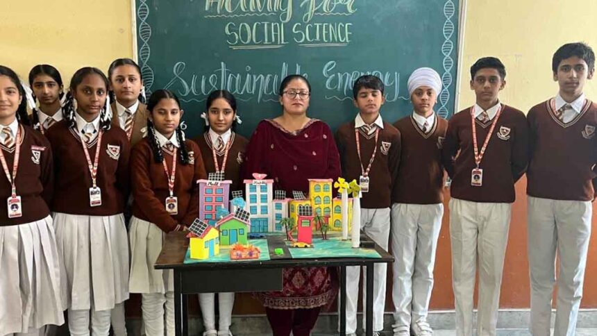 St. Soldier School organised social science activity