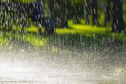 Punjab Weather Update