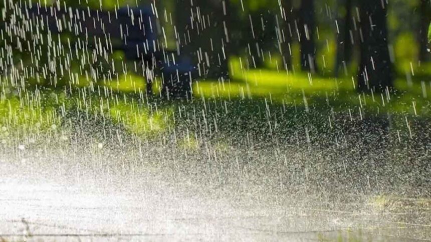 Punjab Weather Update