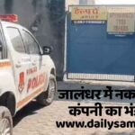 Woodland Shoes Fake Factory