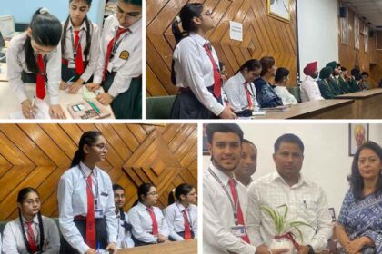 Innocent Hearts News