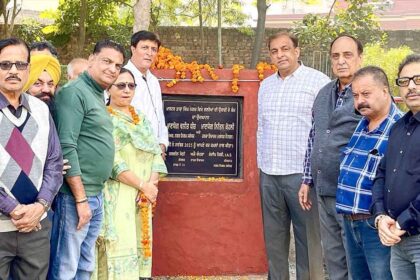 जालंधर सेंट्रल में रु 1.65 करोड़ के ग्रीन बेल्ट और सड़क निर्माण कार्यों की शुरुआत