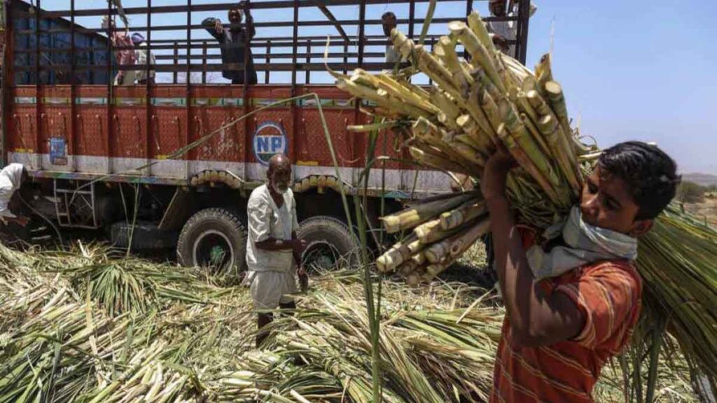 UP News: उत्तर प्रदेश में गन्ना किसानों की फसल का होगा जीपीएस सर्वे UP News: उत्तर प्रदेश में गन्ना किसानों की फसल का होगा जीपीएस सर्वे
