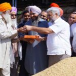 Punjab News: 'सुक्का झोना मंडियां विच लिआओ’ मुहिम की शानदार सफलता से चावल की खरीद सीजन सफलतापूर्वक हुआ संपन्न