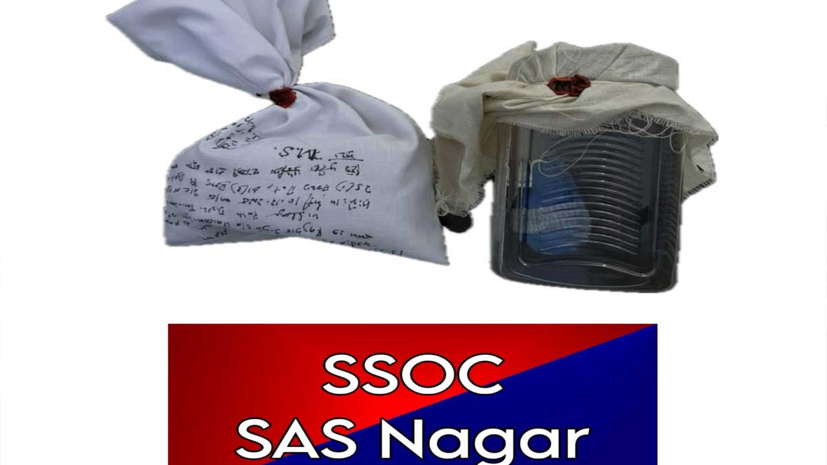 Punjab: नार्को-आतंकवाद मॉड्यूल से जुड़ा सेना का भगोड़ा और उसका साथी हैंड ग्रेनेड, हेरोइन सहित गिरफ्तार