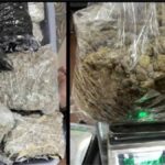 Cannabis seized at Amritsar airport
