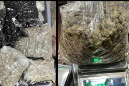 Cannabis seized at Amritsar airport