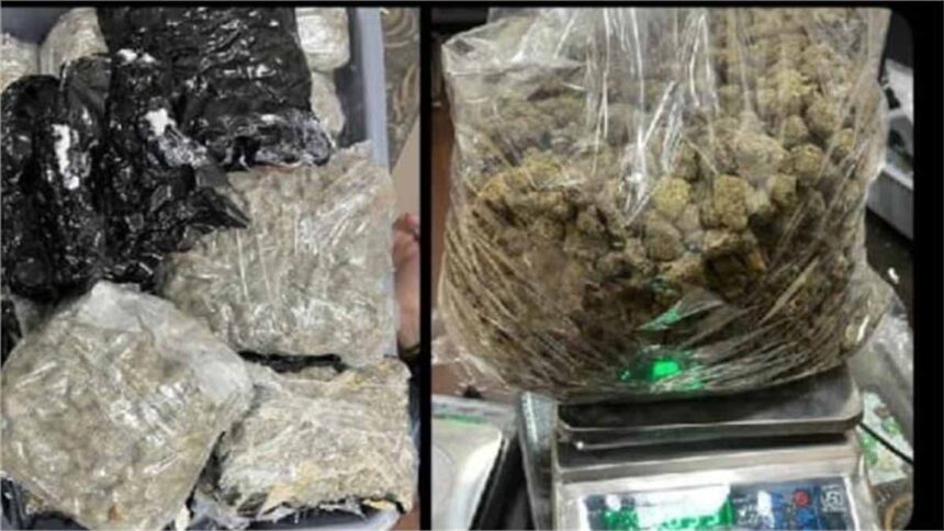Cannabis seized at Amritsar airport