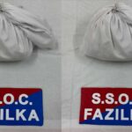 Drug trafficking network operating across the border in Fazilka busted