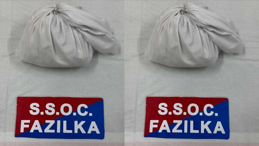 Drug trafficking network operating across the border in Fazilka busted