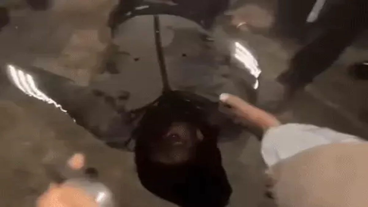 photo has surfaced related to the incident, in which the injured young man lying on the ground is reportedly Rana Balachauria. However, this has not yet been officially confirmed