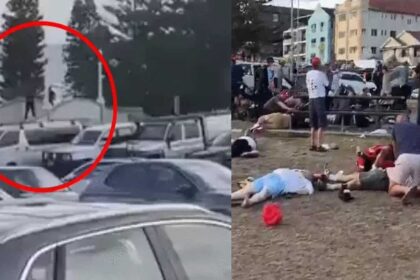 10 people were killed in the shooting. Their bodies were found on the beach