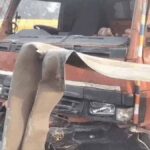 Several vehicles collided in Ludhiana