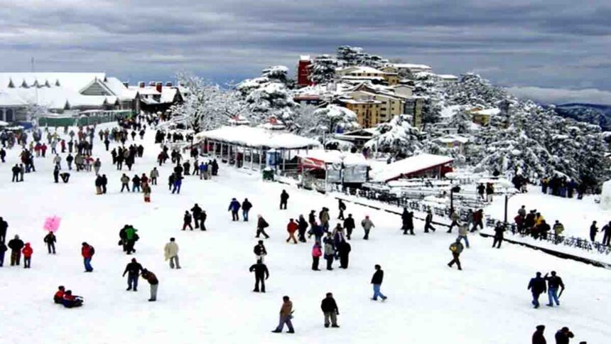 Shimla News