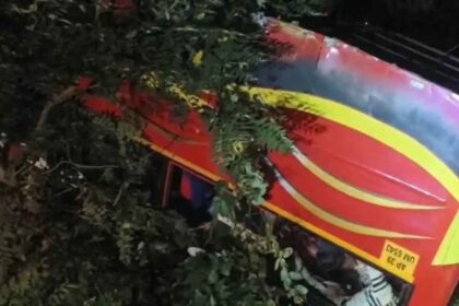 Andhra Pradesh Bus Accident