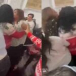 Mexico Parliament Fight