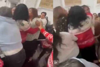 Mexico Parliament Fight