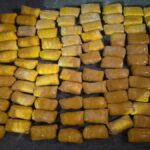 Cross-border drug trafficking network busted