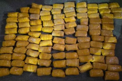 Cross-border drug trafficking network busted