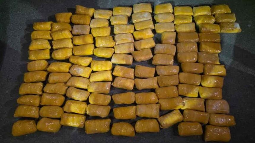 Cross-border drug trafficking network busted