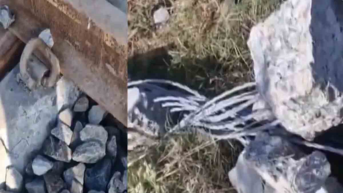 धमाका इतना तेज था कि रेलवे ट्रैक के कई स्लीपर्स के टुकड़े हो गए।