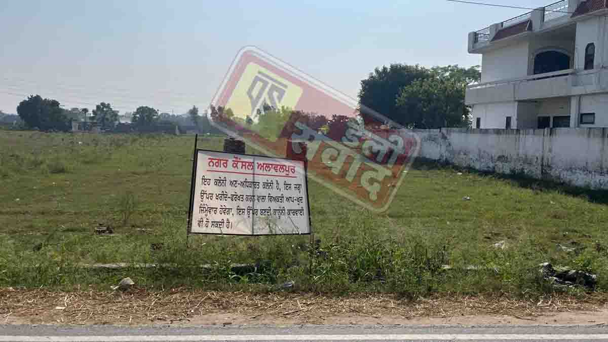 Illegal Colony Alawalpur Jalandhar Live News Update