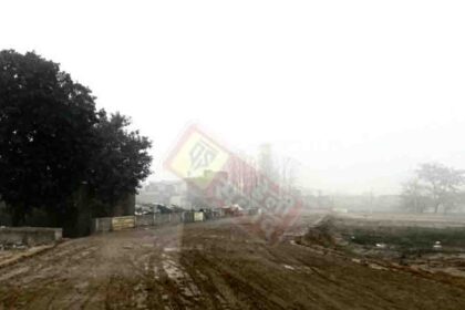 illegal Colonies in Jalandhar Punjab News