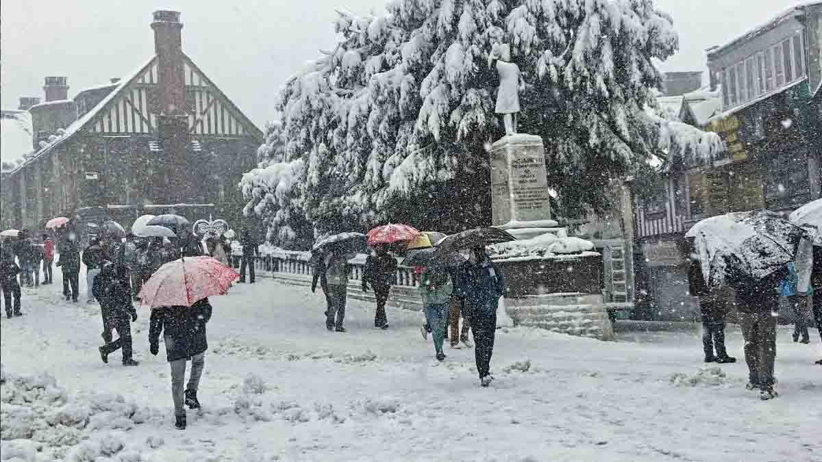 Shimla Snowfall News