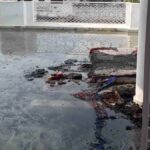 Jalandhar News: जालंधर में एक घर में लगी भयानक आग, महिला की मौत, सारा सामान जला