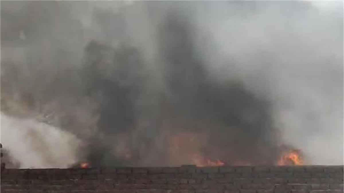 Punjab News: पंजाब में कबाड़ के गोदाम में लगी भयानक आग, इलाके में मची अफरा-तफरी