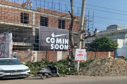 Jalandhar News: जालंधर नगर निगम की बड़ी कार्ऱवाई, अवैध पेड़ों का कत्ल करने वालों को भेजा नोटिस