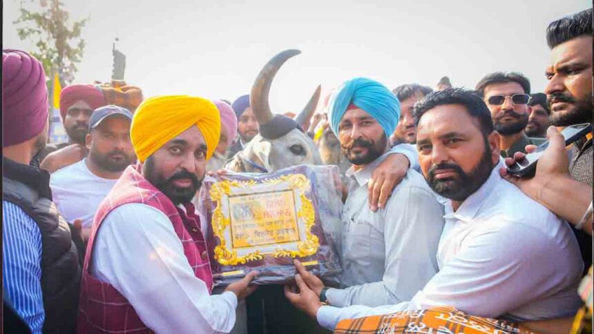 CM Mann attended historic Qila Raipur Rural Olympics